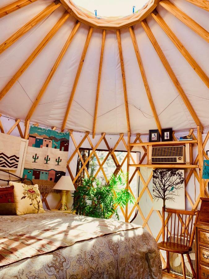 The Yoga Yurta At Sunny Mellow Eco Villa Tijeras 외부 사진